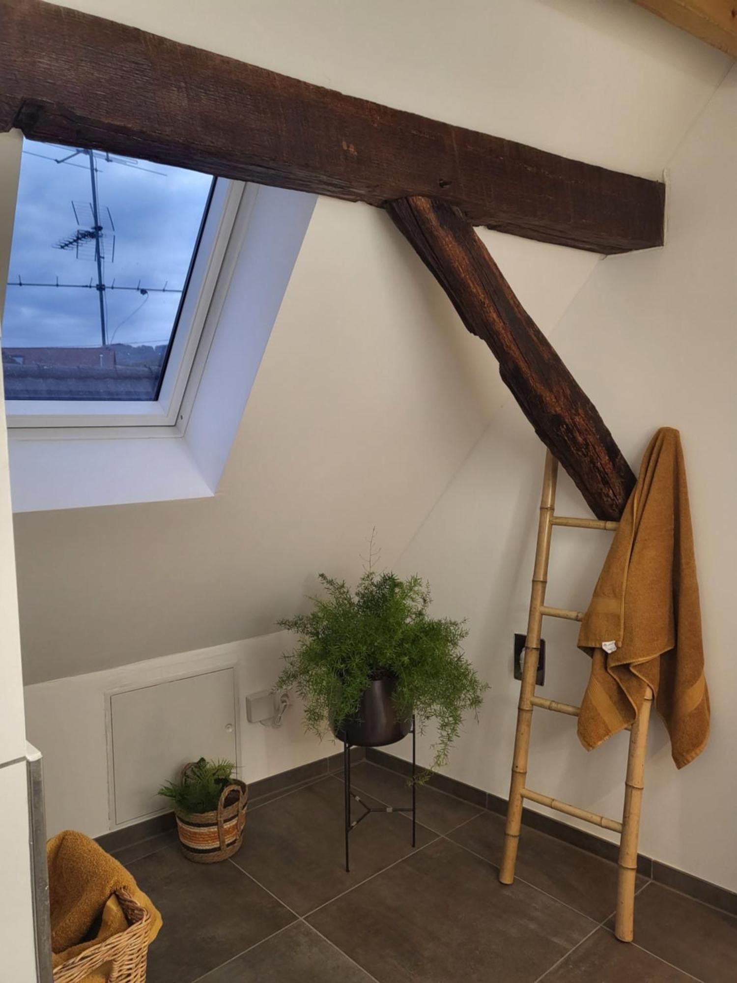 Ferienwohnung Im Rebstock Nr.1 Bahlingen (Emmendingen) Exterior foto